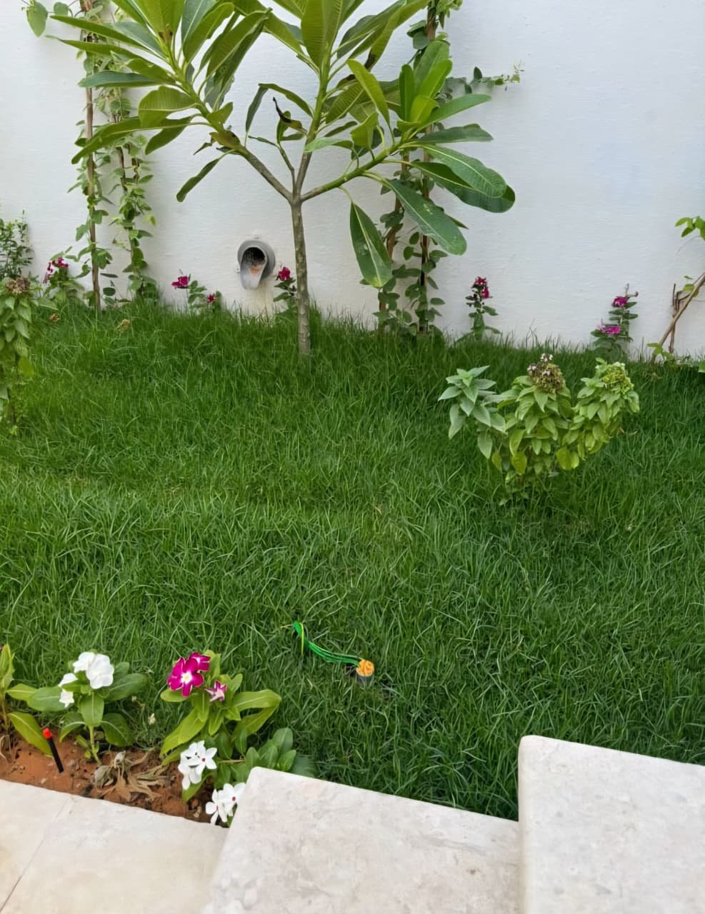 أنظمة الري وتشجير الأراضي